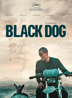 Black Dog