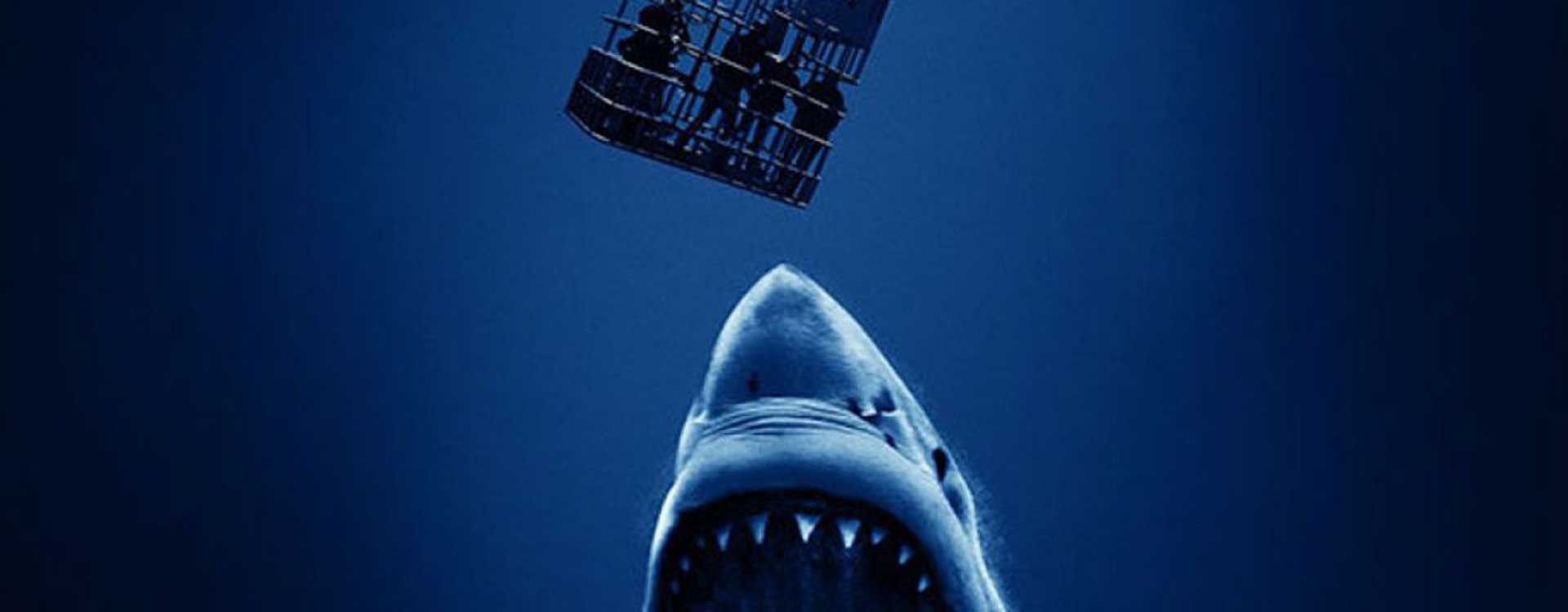 Open Water 3